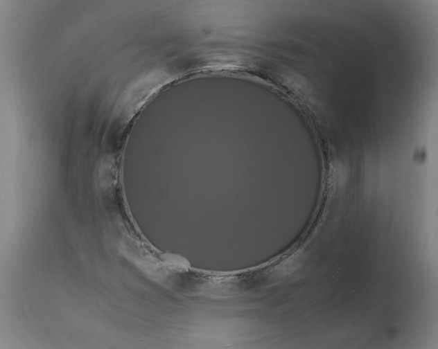 X0000112151353200908281330
