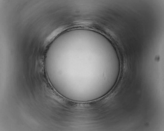 X0000112151354200908281330