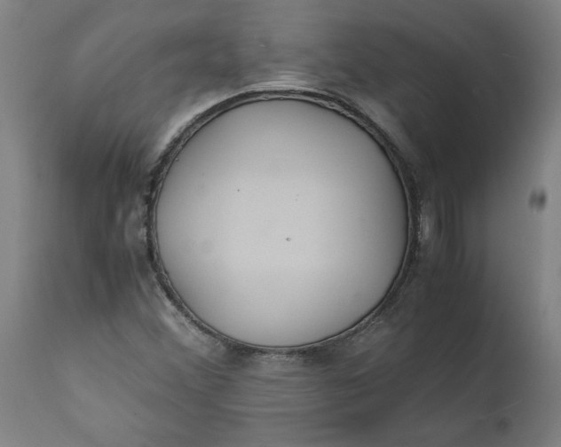 X0000112151356200908281330