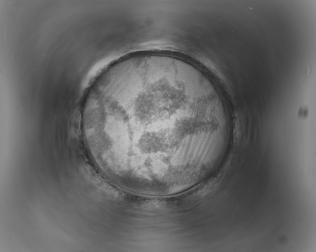 X0000112151358200908281330