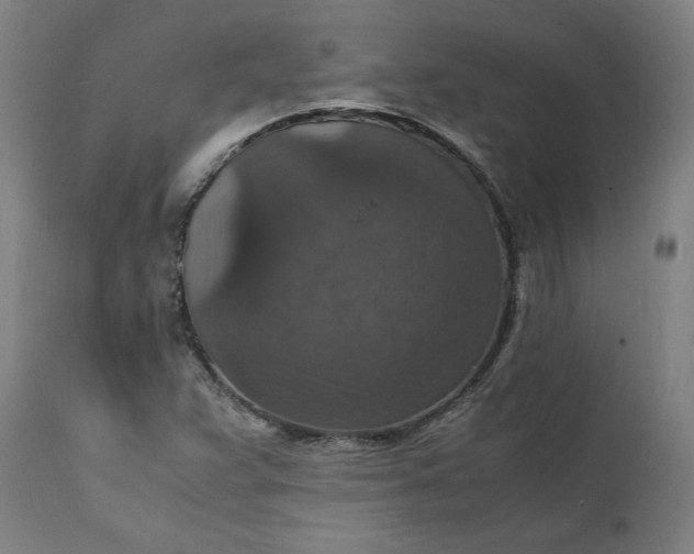 X0000112151359200908281330