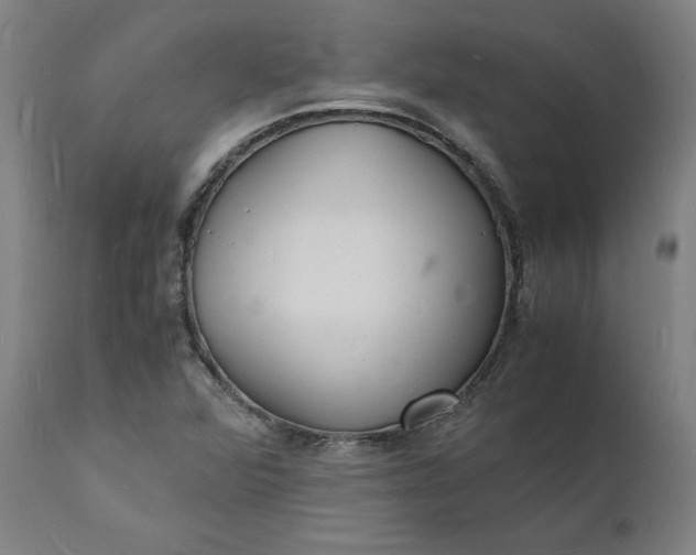 X0000112151360200908281330