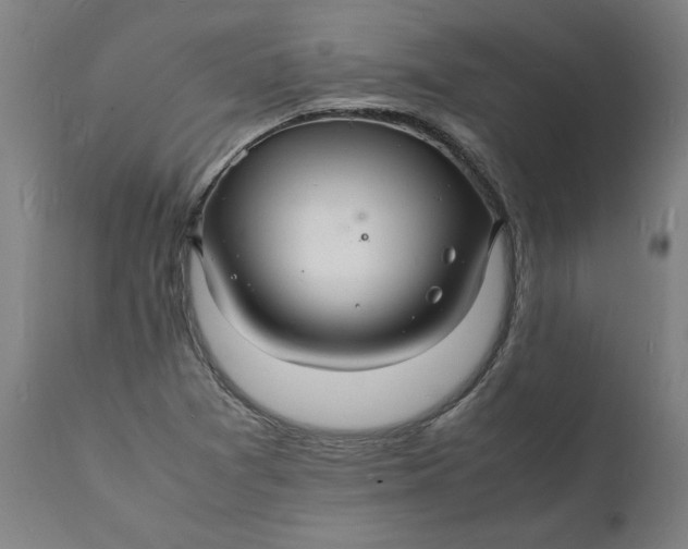 X0000112151361200908281330