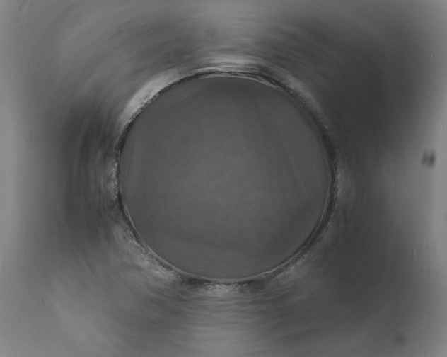 X0000112151362200908281330