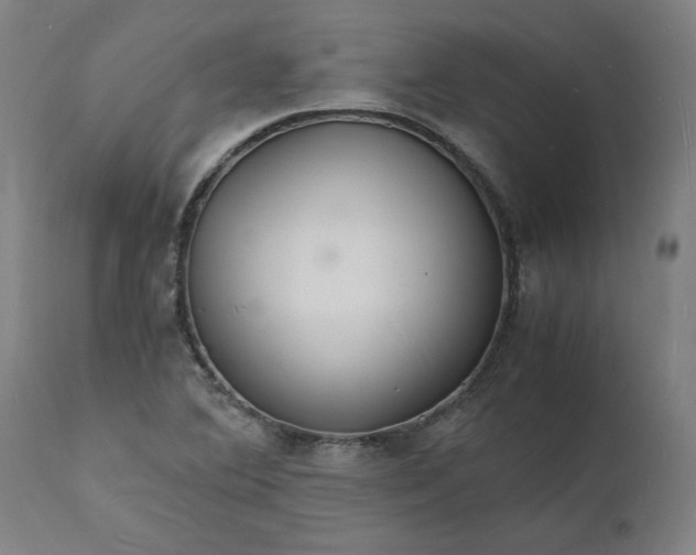 X0000112151364200908281330
