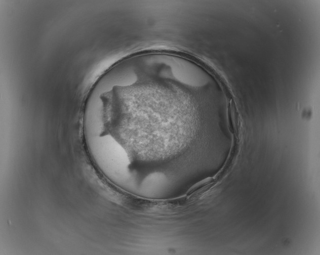 X0000112151367200908281330
