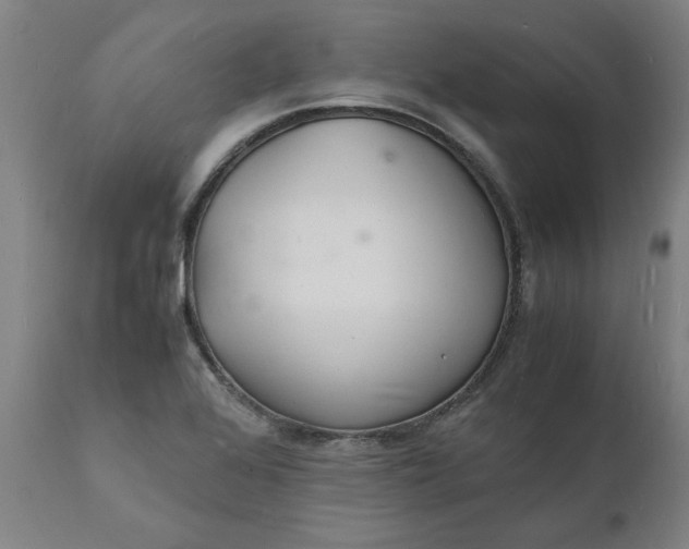 X0000112151368200908281330