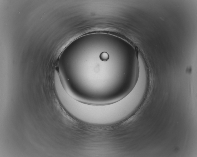 X0000112151369200908281330