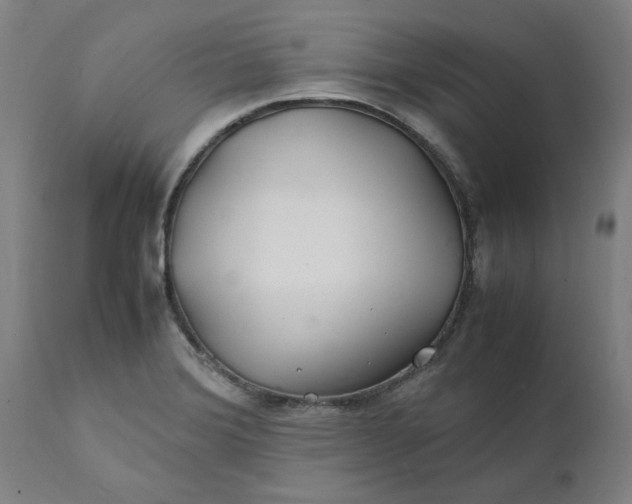 X0000112151372200908281330