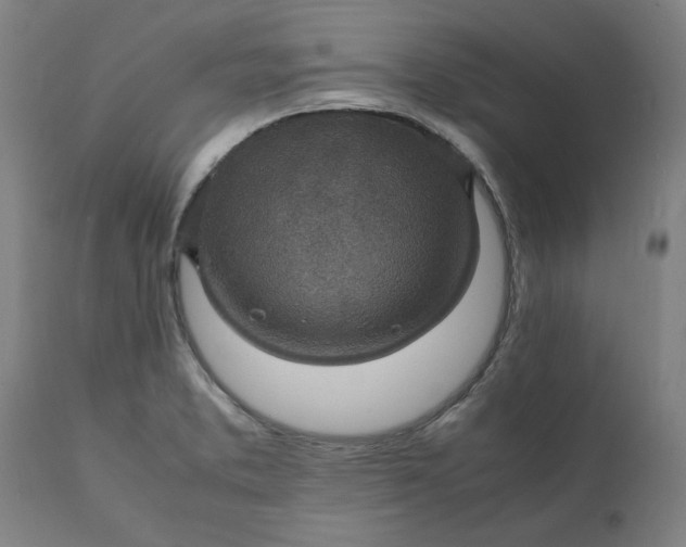 X0000112151373200908281330