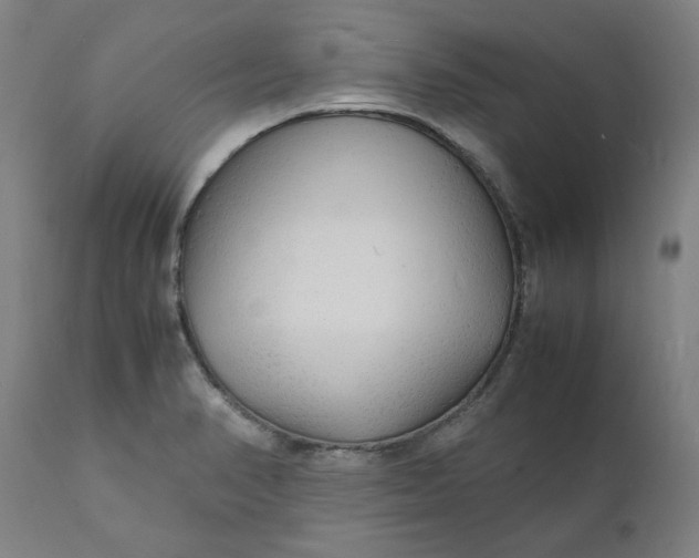 X0000112151374200908281330