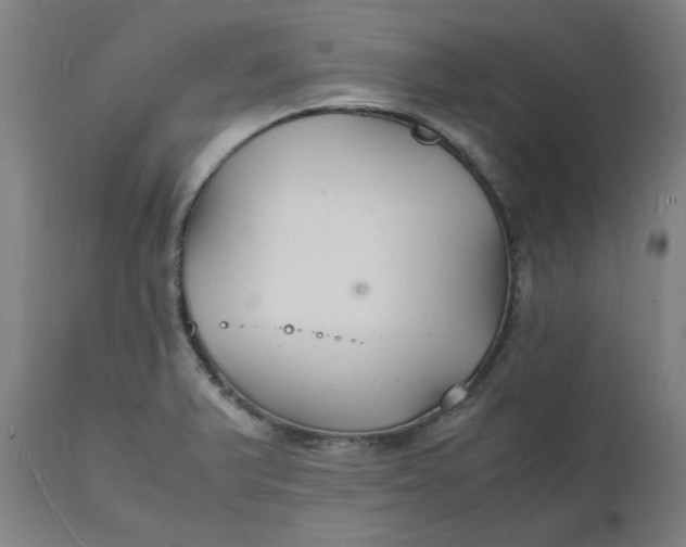 X0000112151375200908281330