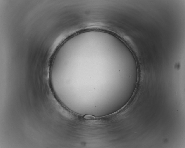 X0000112151376200908281330