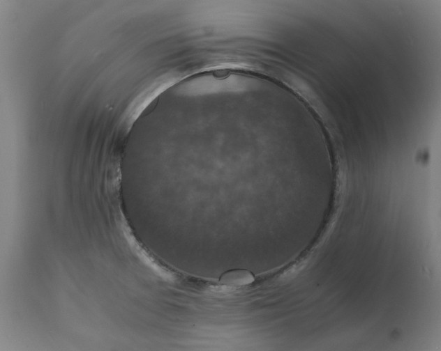 X0000112151377200908281330