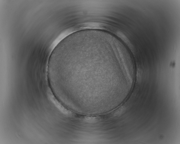 X0000112151378200908281330