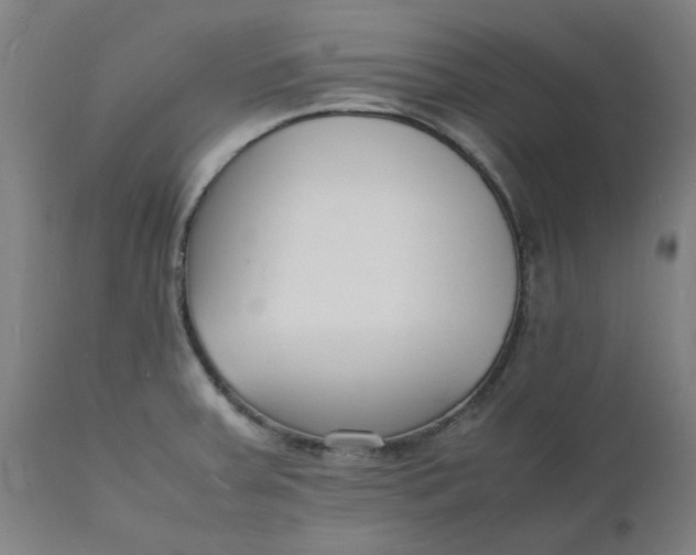 X0000112151379200908281330