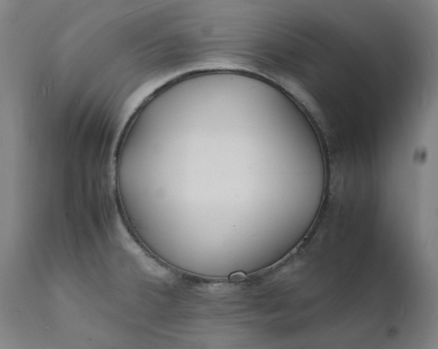 X0000112151380200908281330
