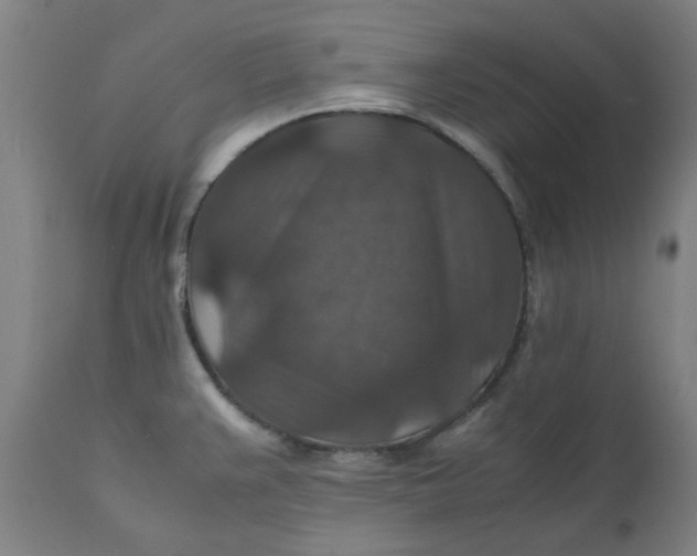 X0000112151383200908281330
