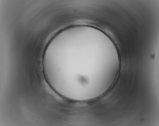 X0000112151384200908281330