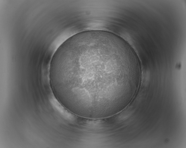 X0000112151386200908281330