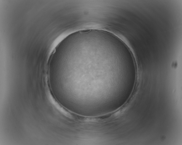 X0000112151389200908281330