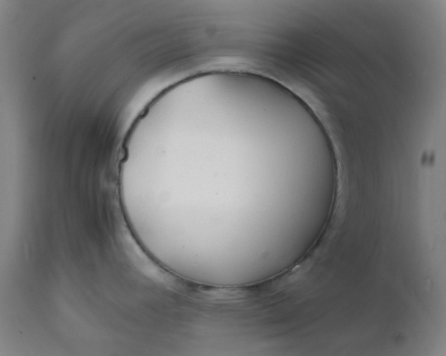 X0000112151392200908281330
