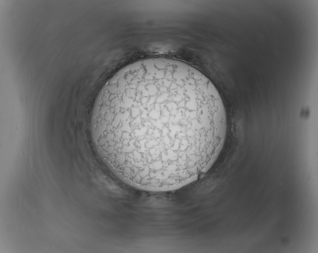 X0000112151393200908281329