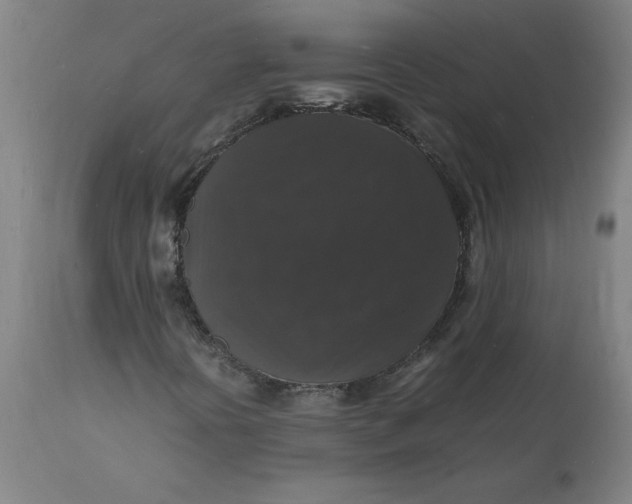 X0000112151394200908281329