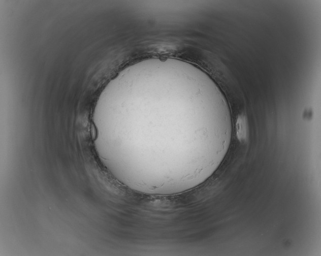 X0000112151395200908281329