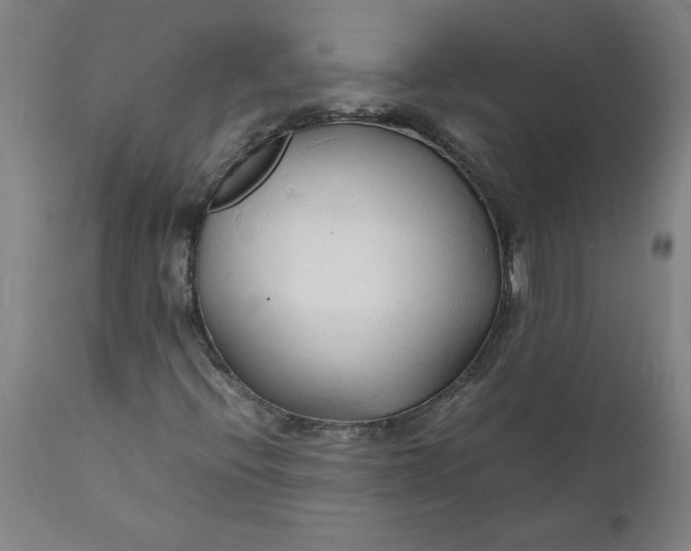 X0000112151396200908281329