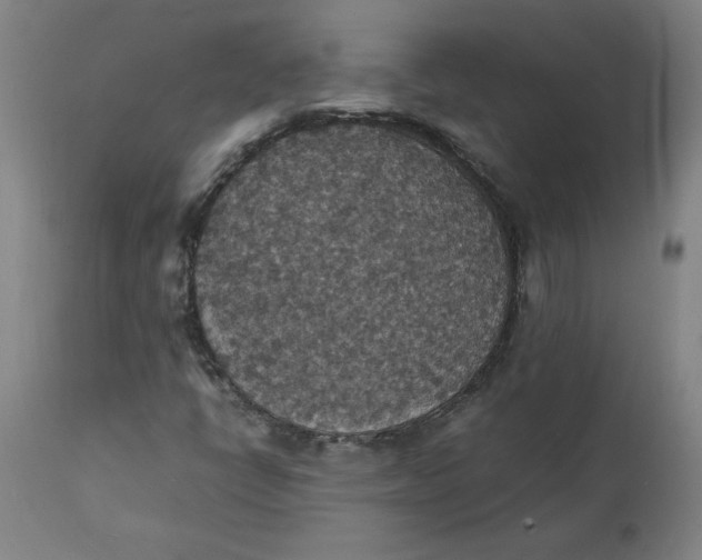 X0000112151398200908281329