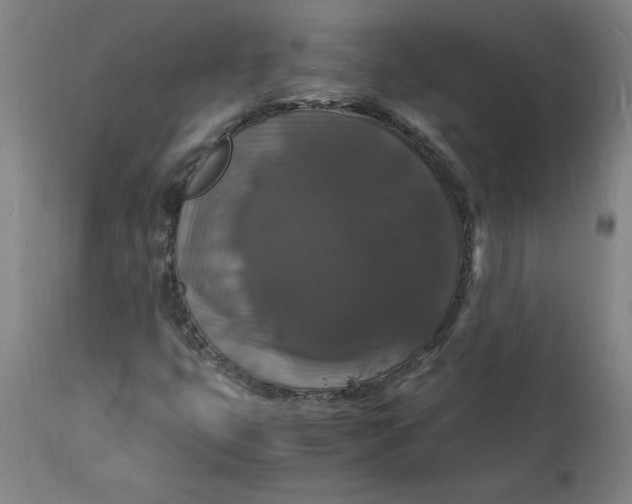 X0000112151399200908281329