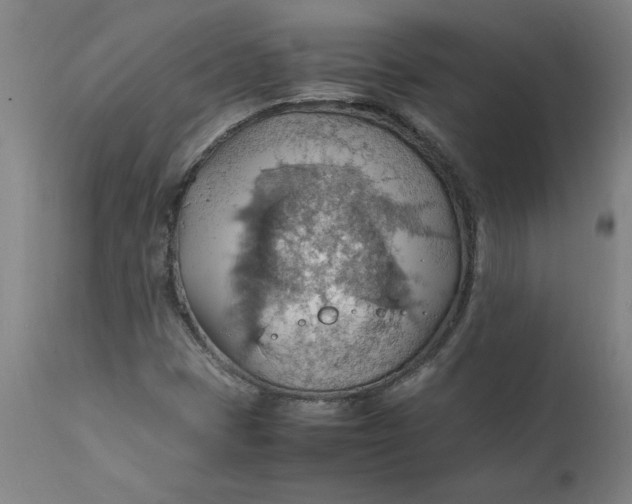 X0000112151401200908281329