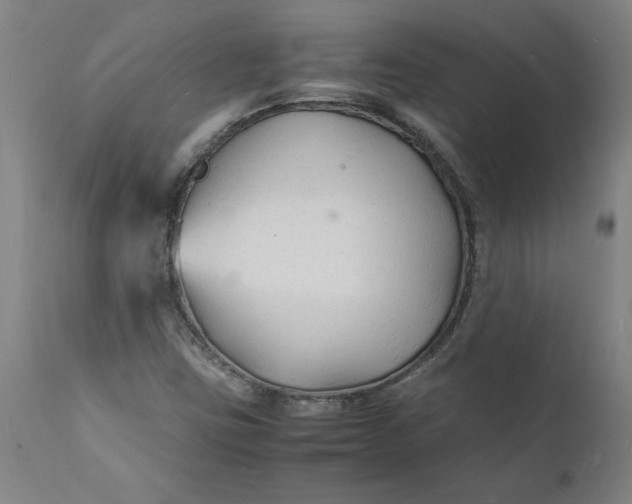 X0000112151403200908281329