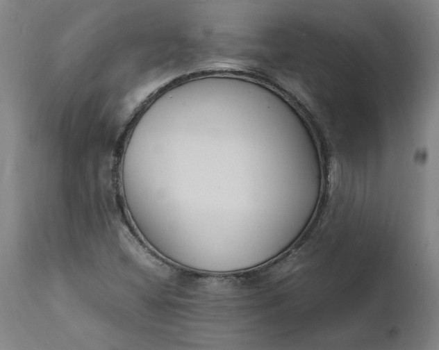 X0000112151404200908281329