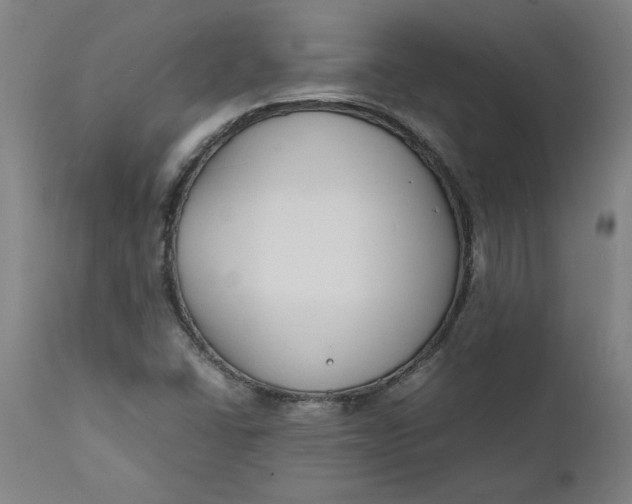 X0000112151406200908281329