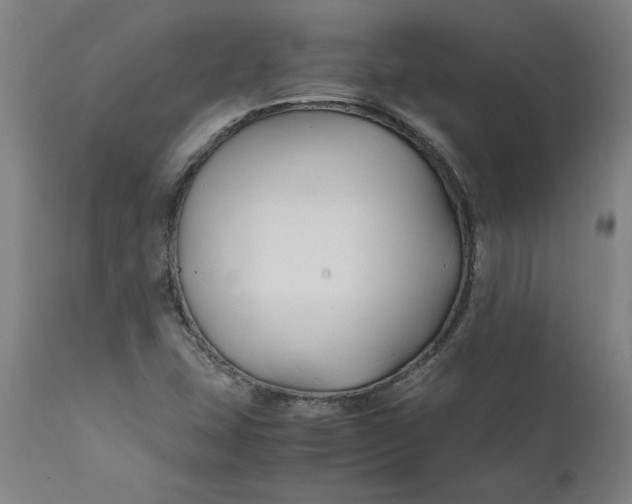 X0000112151407200908281329
