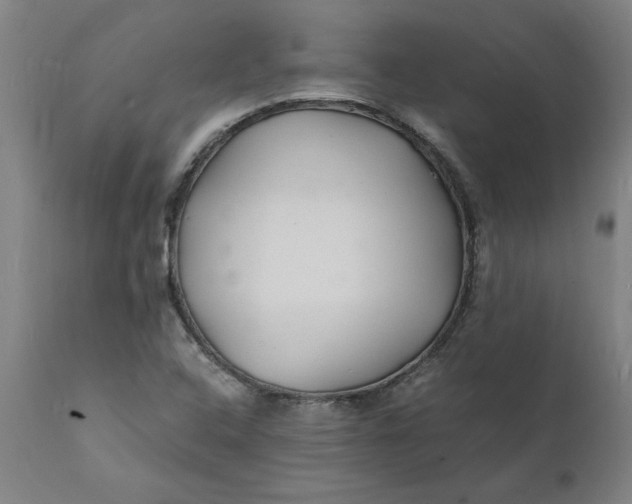 X0000112151408200908281329