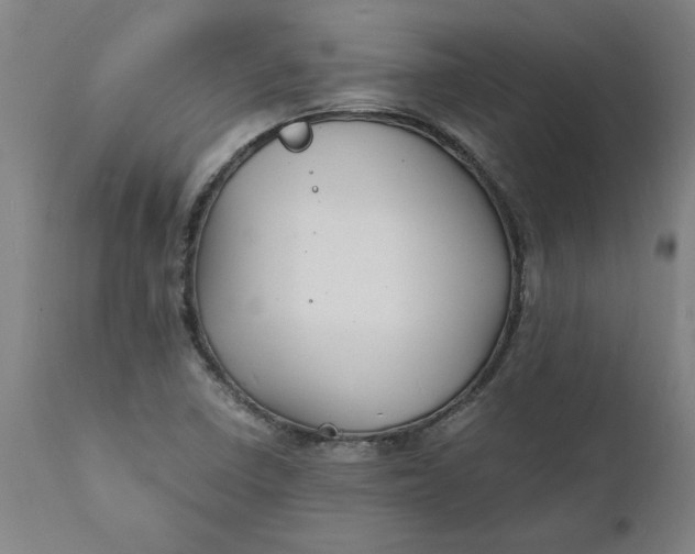 X0000112151410200908281329