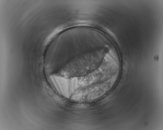 X0000112151411200908281329