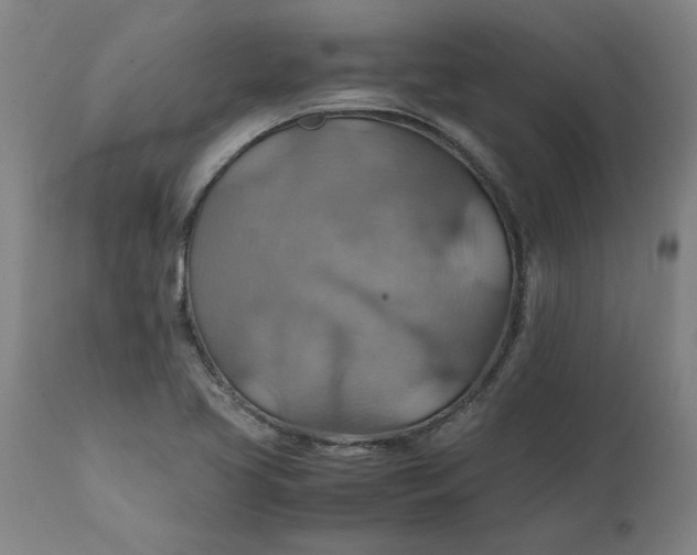 X0000112151413200908281330