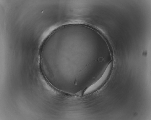X0000112151414200908281330