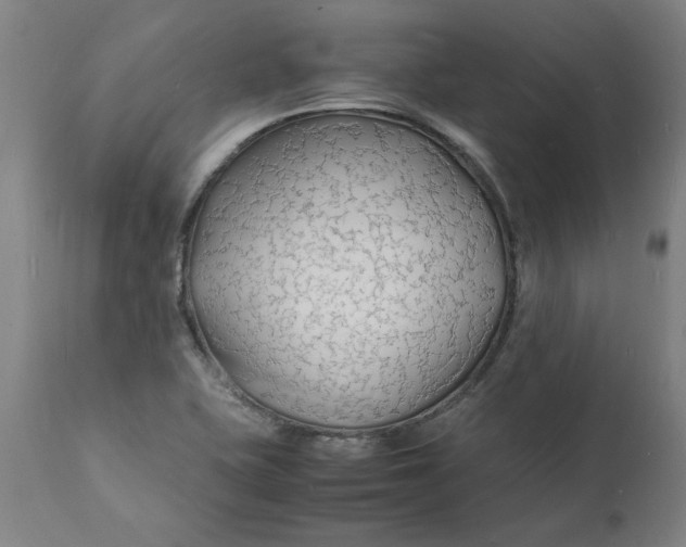 X0000112151415200908281330
