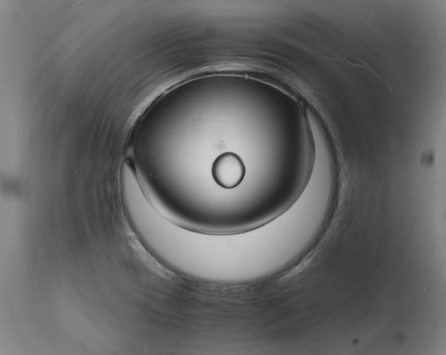 X0000112151417200908281330