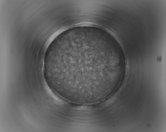 X0000112151418200908281330