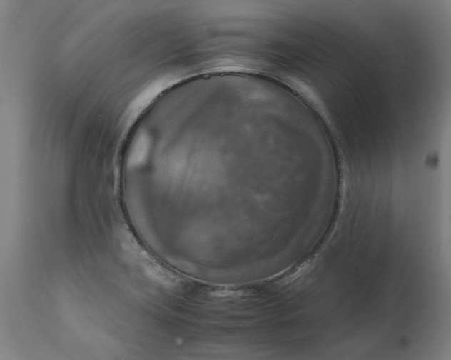 X0000112151419200908281330