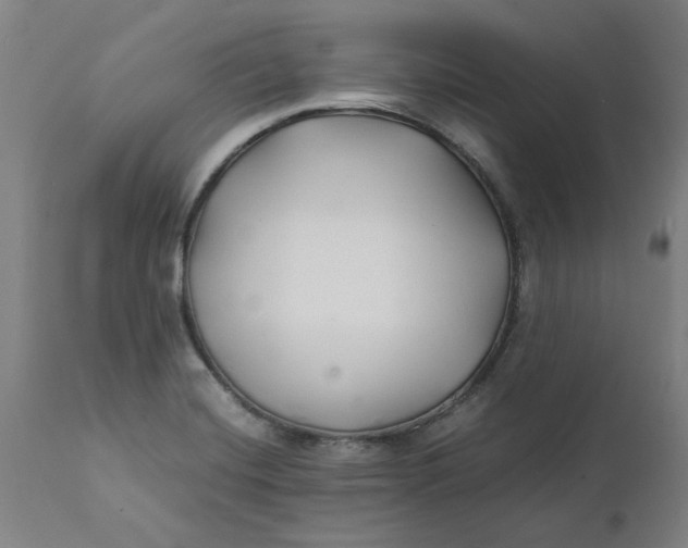 X0000112151420200908281330
