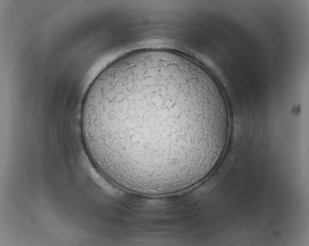 X0000112151421200908281330