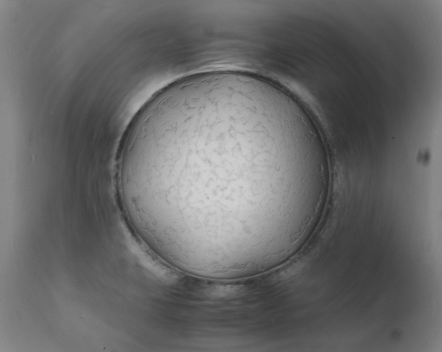 X0000112151423200908281330