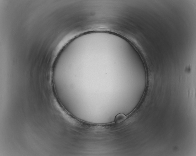 X0000112151424200908281330